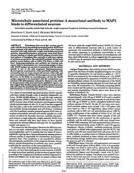 A Monoclonal Antibody to MAP2 Binds to Differentiated Neurons