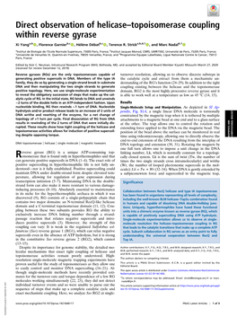 Direct Observation of Helicase–Topoisomerase Coupling Within Reverse Gyrase