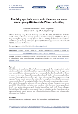 Resolving Species Boundaries in the Atlanta Brunnea Species