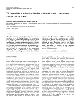 Endodermal Role for Hoxa13 553