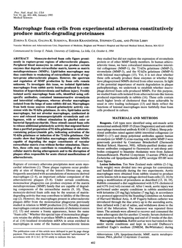 Macrophage Foam Cells from Experimental Atheroma Constitutively Produce Matrix-Degrading Proteinases ZORINA S