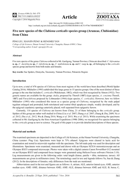 Five New Species of the Clubiona Corticalis Species Group (Araneae, Clubionidae) from China