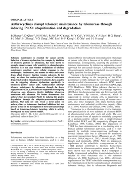 Anthracyclines Disrupt Telomere Maintenance by Telomerase Through Inducing Pinx1 Ubiquitination and Degradation