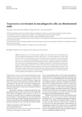 Trypanosoma Cruzi Invasion in Non-Phagocytic Cells: an Ultrastructural Study