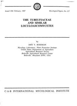 The Tubeufiaceae and Similar Loculoascomycetes