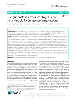 The Gut Bacteria Across Life Stages in the Synanthropic Fly Chrysomya