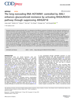 The Long Noncoding RNA HOTAIRM1 Controlled by AML1 Enhances