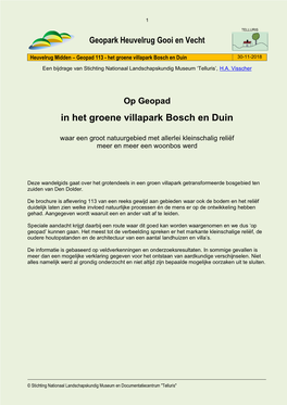 In Het Groene Villapark Bosch En Duin