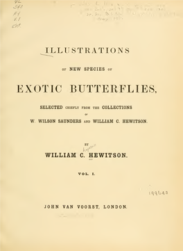 Illustrations of New Species of Exotic Butterflies