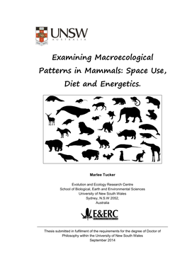 Examining Macroecological Patterns in Mammals: Space Use, Diet and Energetics