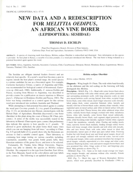 New Data and a Redescription for Melittia Oedipus, an African Vine Borer (Lepidoptera: Sesiidae)