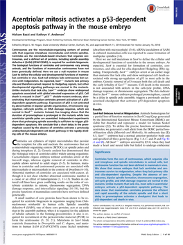 Acentriolar Mitosis Activates a P53-Dependent Apoptosis Pathway