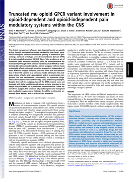 Truncated Mu Opioid GPCR Variant Involvement in Opioid-Dependent and Opioid-Independent Pain Modulatory Systems Within the CNS