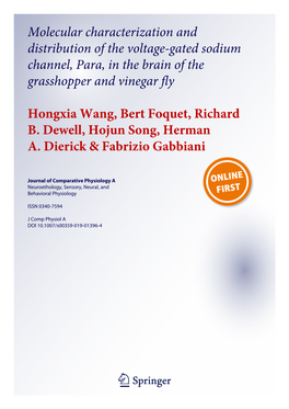 Molecular Characterization and Distribution of the Voltage-Gated Sodium Channel, Para, in the Brain of the Grasshopper and Vinegar Fly