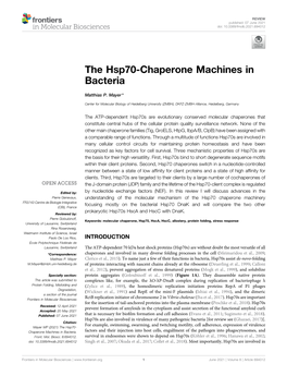 The Hsp70-Chaperone Machines in Bacteria
