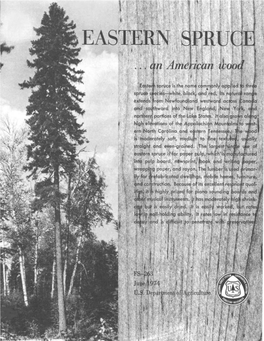 EASTERN SPRUCE an American Wood