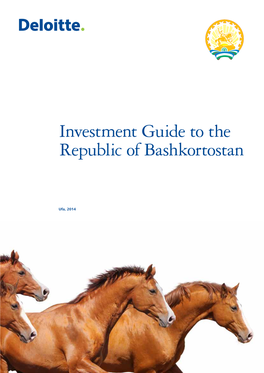 Investment Guide to the Republic of Bashkortostan