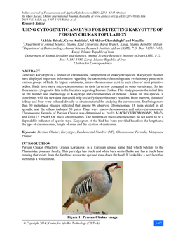 Karyotype Analysis of Persian Chukar