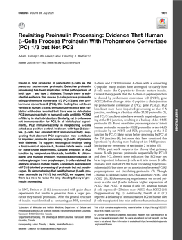 Evidence That Human Β-Cells Process Proinsulin with Prohormone Convertase