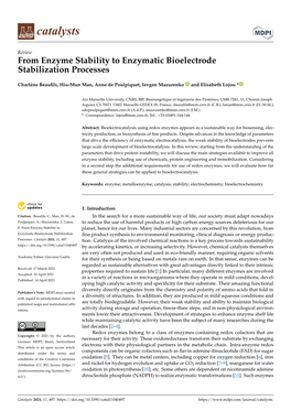 From Enzyme Stability to Enzymatic Bioelectrode Stabilization Processes