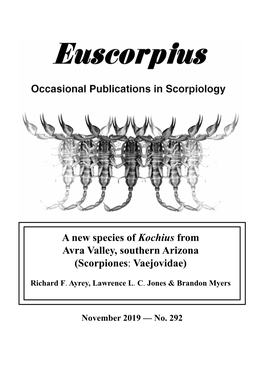 A New Species of Kochius from Avra Valley, Southern Arizona (Scorpiones: Vaejovidae)