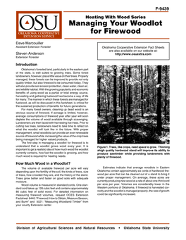 Managing Your Woodlot for Firewood