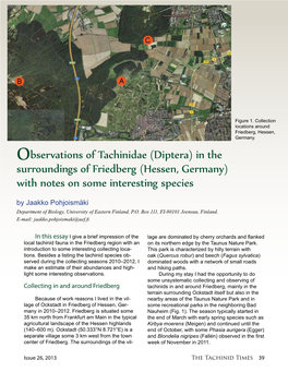 Observations of Tachinidae (Diptera) in the Surroundings of Friedberg