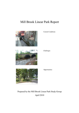 Mill Brook Linear Park Report