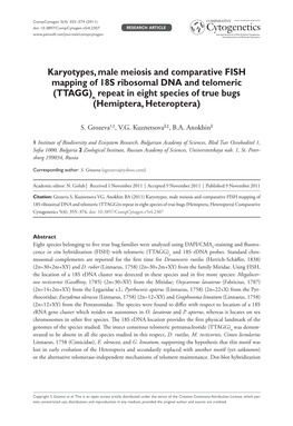 Karyotypes, Male Meiosis and Comparative FISH Mapping of 18S Ribosomal DNA and Telomeric