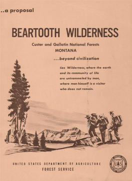 Beartooth Wilderness I I