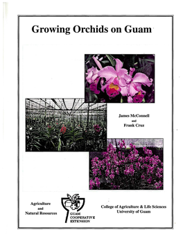 Growing Orchids on Guam·