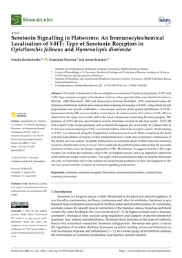 Serotonin Signalling in Flatworms: an Immunocytochemical Localisation of 5-HT7 Type of Serotonin Receptors in Opisthorchis Felineus and Hymenolepis Diminuta