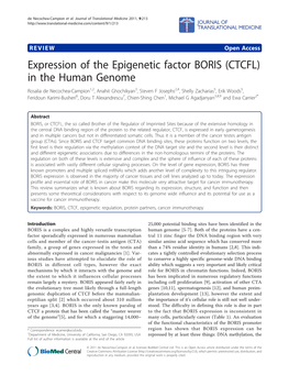 Expression of the Epigenetic Factor BORIS (CTCFL) in the Human Genome