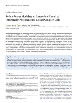 Retinal Waves Modulate an Intraretinal Circuit of Intrinsically Photosensitive Retinal Ganglion Cells