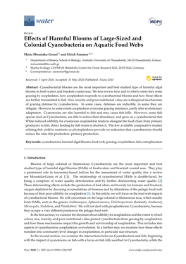 Effects of Harmful Blooms of Large-Sized and Colonial