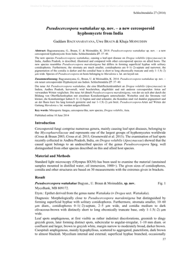 Pseudocercospora Wattakakae Sp. Nov. – a New Cercosporoid Hyphomycete from India