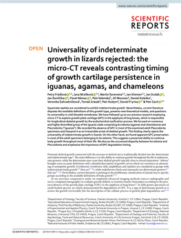 Universality of Indeterminate Growth in Lizards Rejected