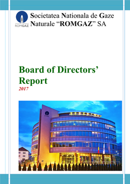 Board of Directors' Report