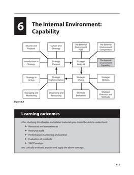 6 the Internal Environment: Capability