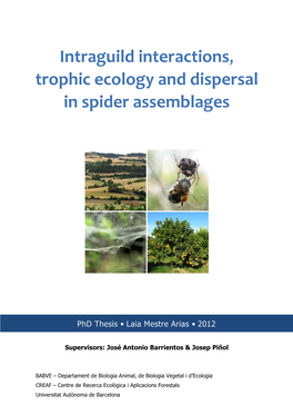 Intraguild Interactions, Trophic Ecology and Dispersal in Spider Assemblages