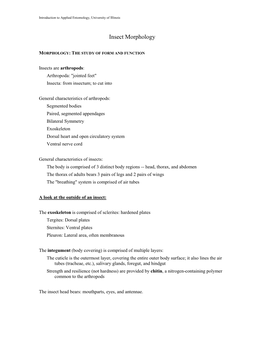 Lecture 2: Insect Morphology