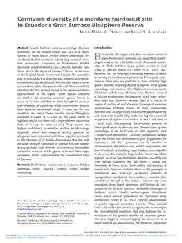 Carnivore Diversity at a Montane Rainforest Site in Ecuador's Gran