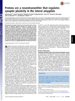 Protons Are a Neurotransmitter That Regulates Synaptic Plasticity in the Lateral Amygdala