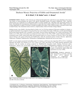 Dasheen Mosaic Potyvirus of Edible and Ornamental Aroids1 M