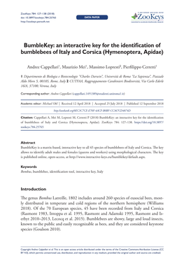 An Interactive Key for the Identification of Bumblebees of Italy and Corsica