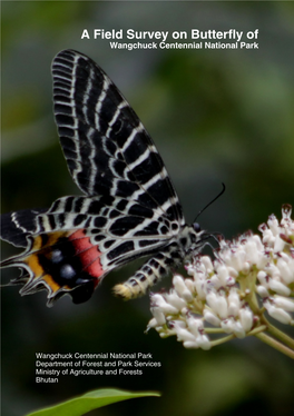 A Field Survey on Butterfly of Wangchuck Centennial National Park