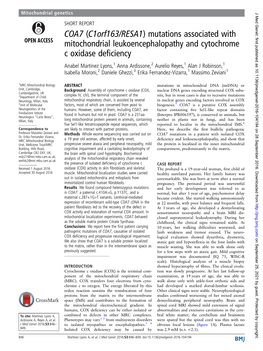 Mutations Associated with Mitochondrial Leukoencephalopathy