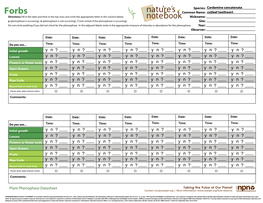 Cutleaf Toothwort Directions: Fill in the Date and Time in the Top Rows and Circle the Appropriate Letter in the Column Below