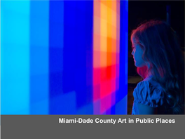 Miami-Dade County Art in Public Places About Our Program