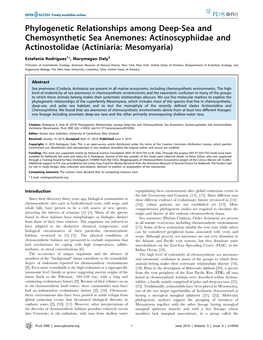 Phylogenetic Relationships Among Deep-Sea and Chemosynthetic Sea Anemones: Actinoscyphiidae and Actinostolidae (Actiniaria: Mesomyaria)